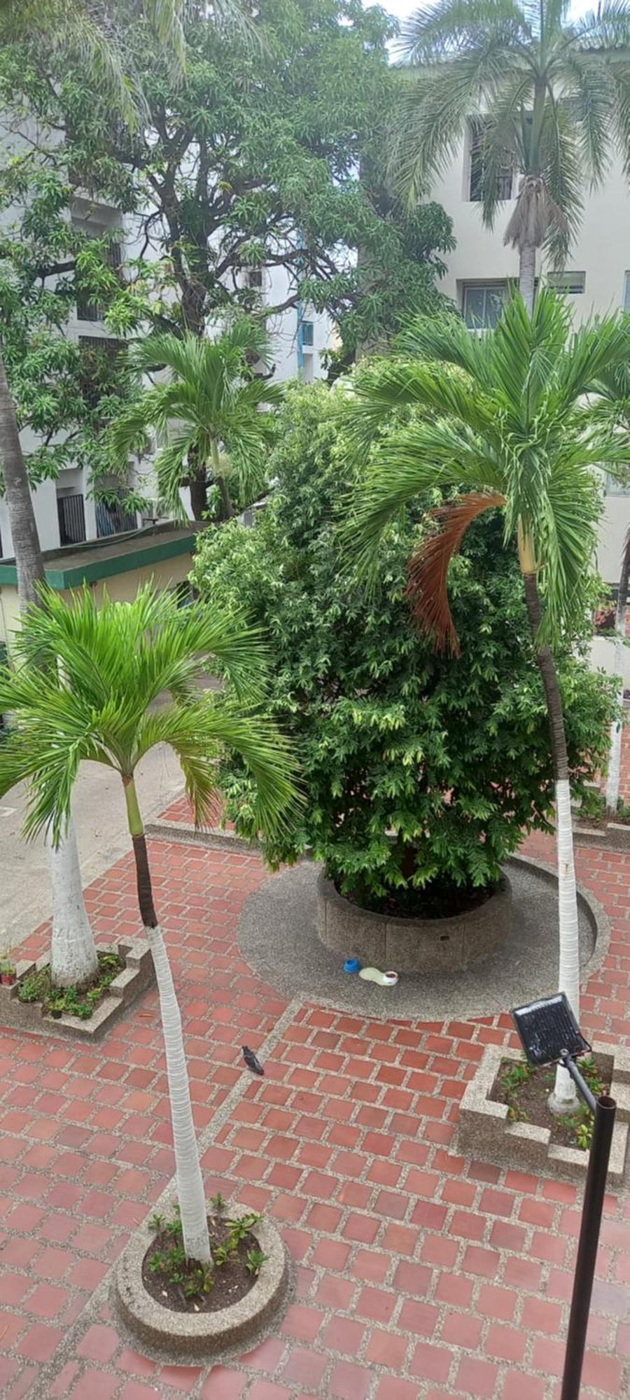 Apartamento El Cabrero